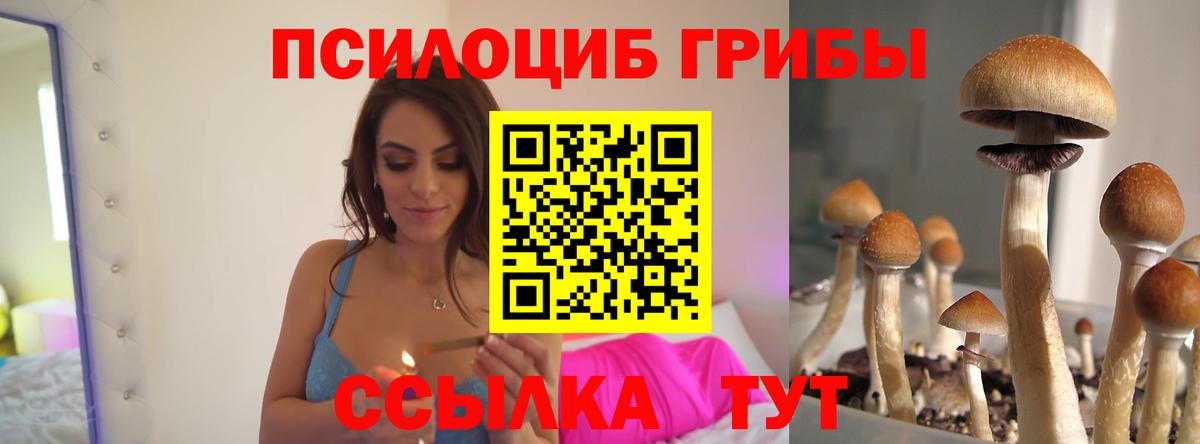 Гудермес  наркотики  Вход с VPN  Псилоцибиновые грибы ЛСД 