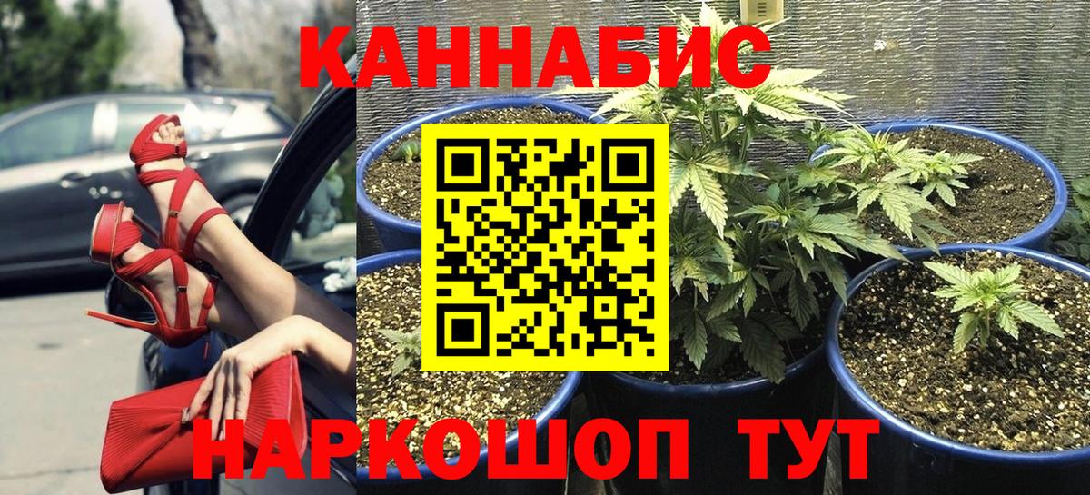 Марихуана семена Гудермес